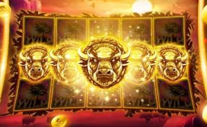 Slot Oyunlarında Algoritma